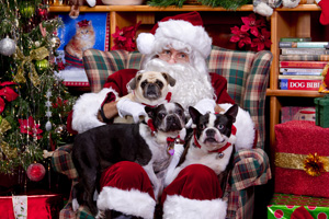 Santa Paws
